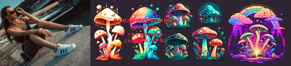дурь Козловка