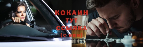 apvp Козельск