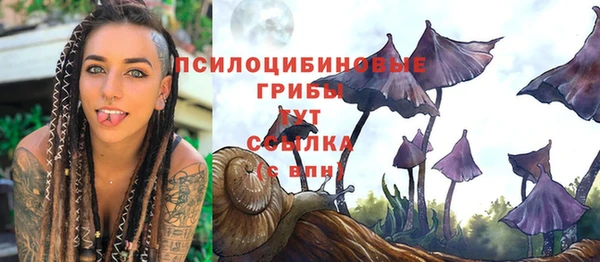 дурь Козловка